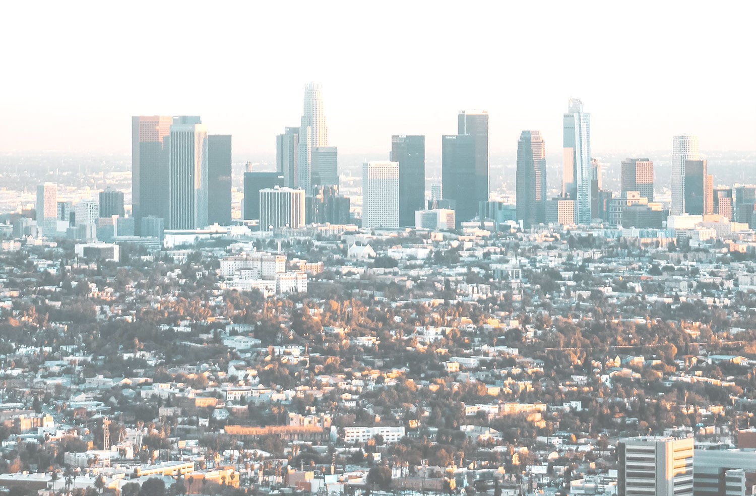 Los Angeles Shirt Printing Photo